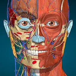 Anatomy Learning – 3D Anatomy MOD APK 2.1.449 (Full version Unlocked)
