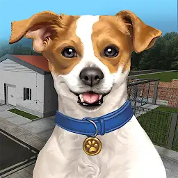 Animal Shelter Simulator MOD APK 1.368 (Unlimited Money)