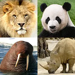 Animals Quiz Learn All Mammals MOD APK 3.8.0 (Unlimited Money)