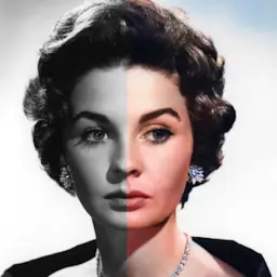 Colorize Images MOD APK 4.1.21 (Premium Unlocked)