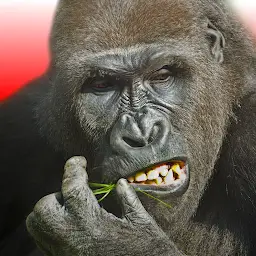 Flying Gorilla MOD APK 4.7.3 (Free Rewards)