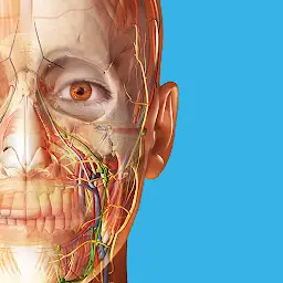 Human Anatomy Atlas 2024 MOD APK 2025.00.012 (All Unlocked)
