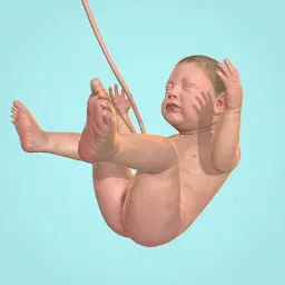 Idle 9 Months MOD APK 1.37.4 (Unlimited Cell, Nutrition)