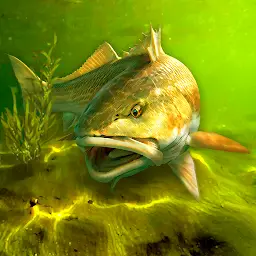 My Fishing World MOD APK 1.15.14 (Unlimited Golds, VIP Unlocked)