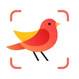 Picture Bird – Bird Identifier MOD APK 2.9.32 (Premium Unlocked)