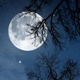 Relax Night MOD APK 5.18.0 (Premium Unlocked)