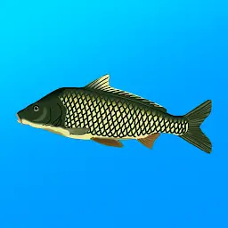True Fishing MOD APK 1.17.1.850 (Unlimited Money)